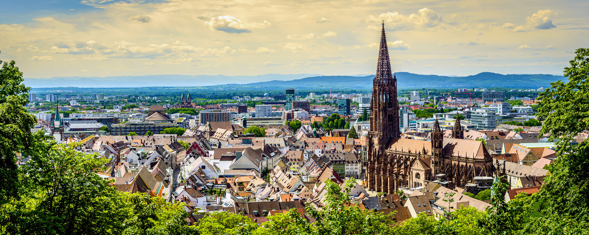 Blick von oben auf den Freiburger Münster und die Altstadt in Freiburg im Breisgau